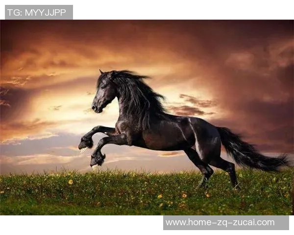 墨西哥美洲与野马的激烈对决揭示足球战术与团队精神的较量